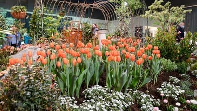 Northwest Flower & Garden Festival