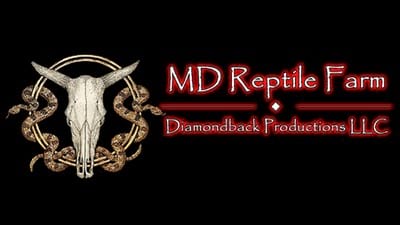 Diamondback Productions LLC logo